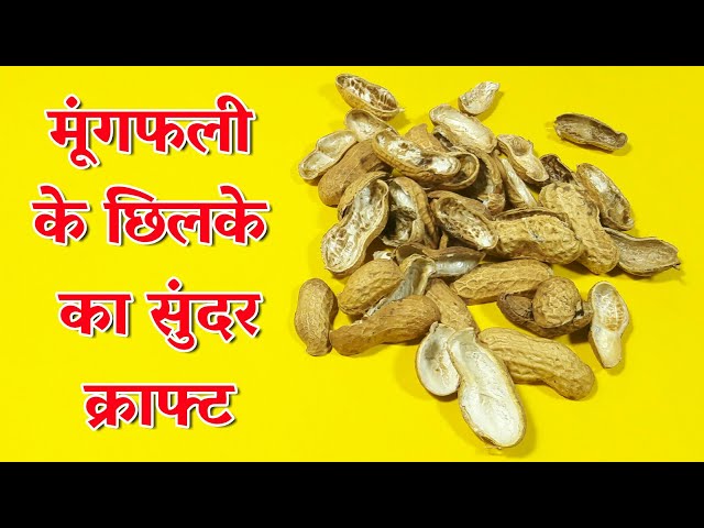 Best Out Of Waste Peanut Shell Craft | DIY Art And Craft | Peanut Shell Reuse Idea | Basic Craft