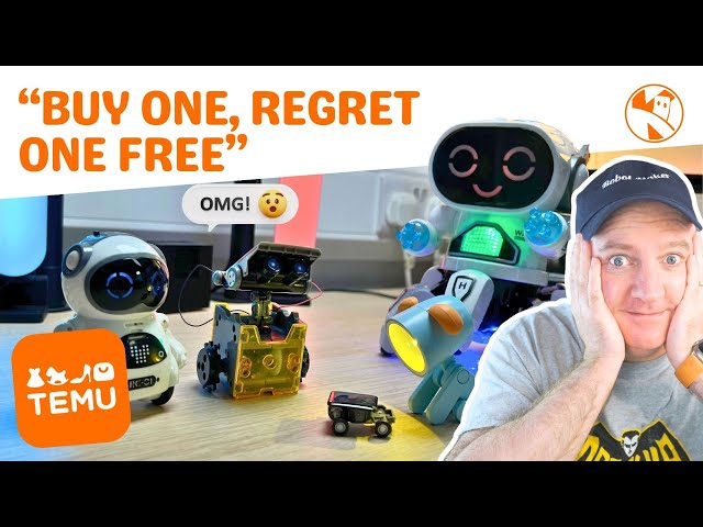 I bought these TEMU Robots so you don't have to!
