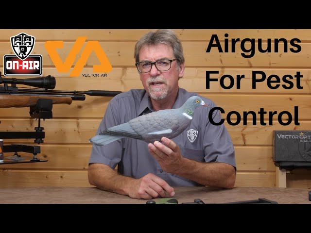 Airguns for Pest Control