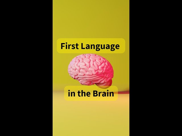 Polyglots and hyperpolyglots: First language in the brain
