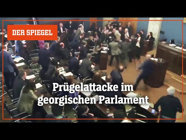Georgiens Parlament: Schägerei am Podium | DER SPIEGEL