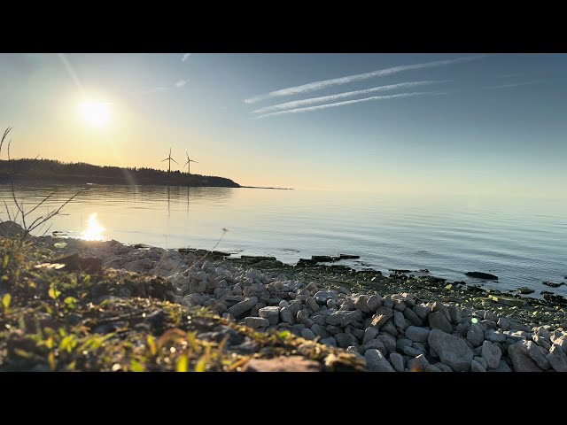 ASMR vibes for relaxation. Soothing nature sounds by the shore in 4K HDR