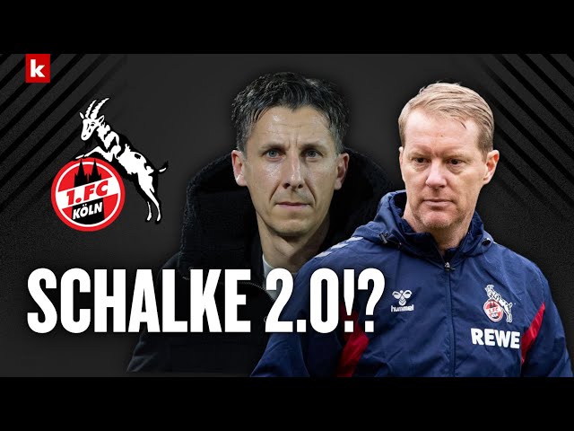 Das "Risiko" mit Schultz: Droht dem 1. FC Köln ein Schicksal wie Schalke 04? | kicker klärt auf