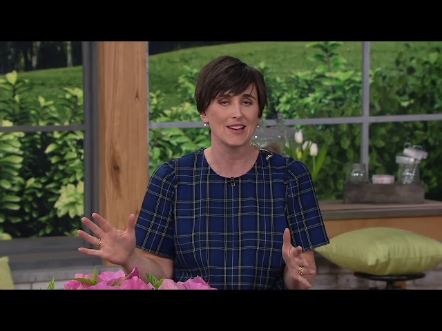 Cottage Farms 2-Piece Summer Elegance Hardy Hibiscus on QVC