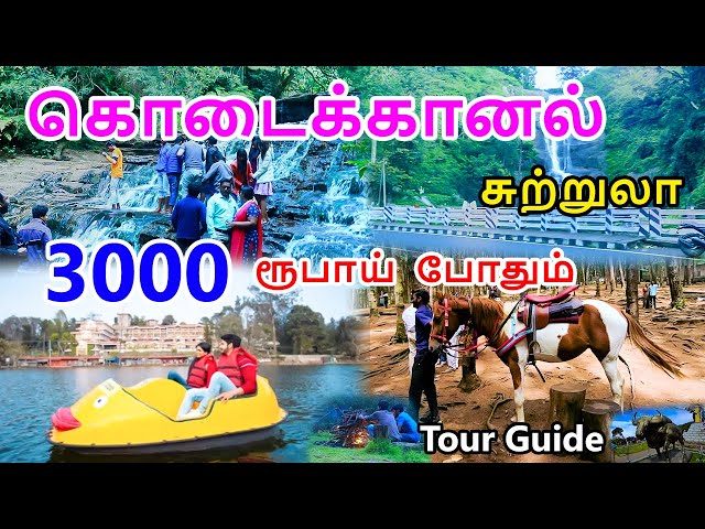 kodaikanal tourist places | கொடைக்கானல் சுற்றுலா 3000 ரூபாய் போதும் | Kodaikanal Tour Guide in tamil