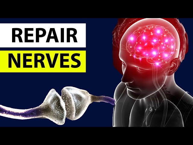 Natural Remedies To Repair NERVES and Prevent Nerve Damage