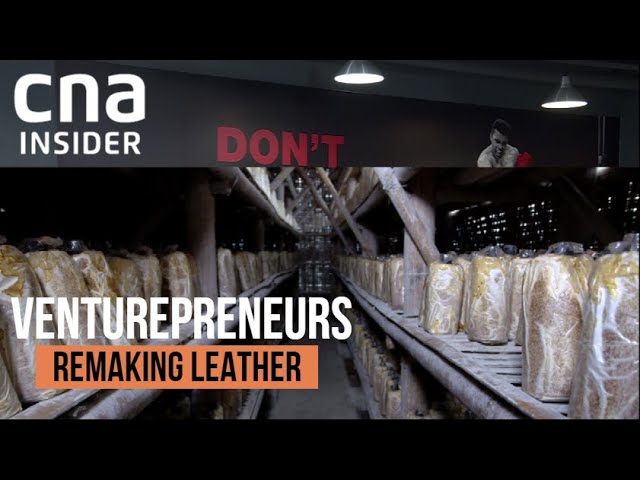 Mushrooms Are Now The New Leather! | VenturePreneurs | Full Episodes