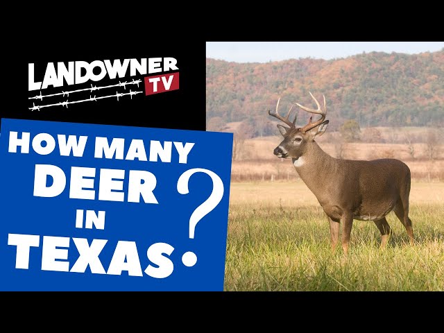 How many deer in Texas?  White-tailed deer populations and trends across Texas Regions and Counties