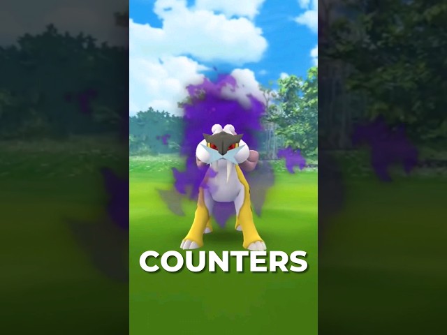 Top Counters for SHADOW RAIKOU!