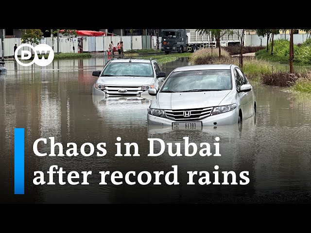 What is behind the record downpour? | DW News