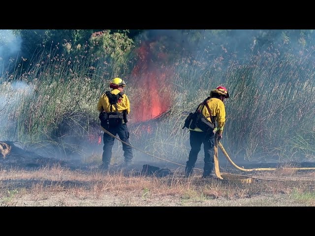 Antioch Vegetation Fire Limited to 2 Acres by Contra Costa Firefighters