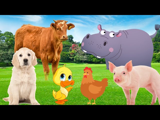 Happy Farm Animals - Cow, Duck, Dog, Pig, Chicken - Animal Sounds