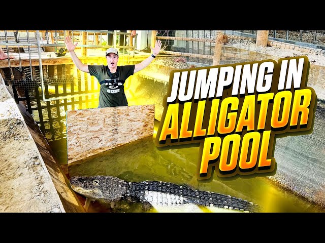 Installing A New Barrier In The Alligator Pool!