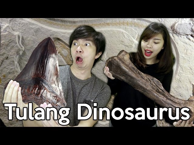 Penemuan 3 Fosil Dinosaurus