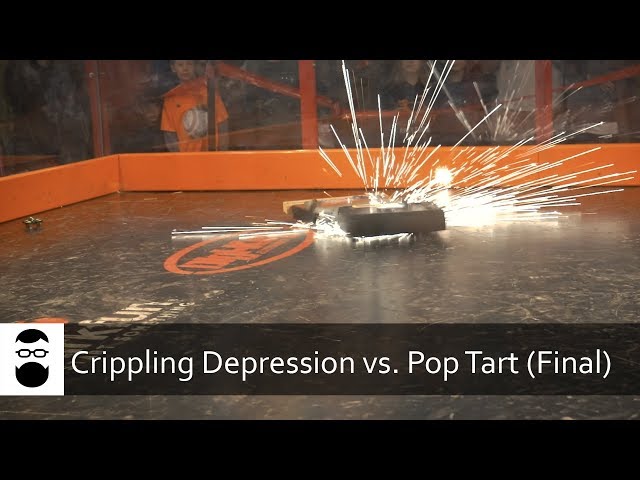 AVC 2017 - Crippling Depression vs. Pop Tart (Final)