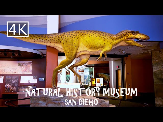 [4K] San Diego Natural History Museum