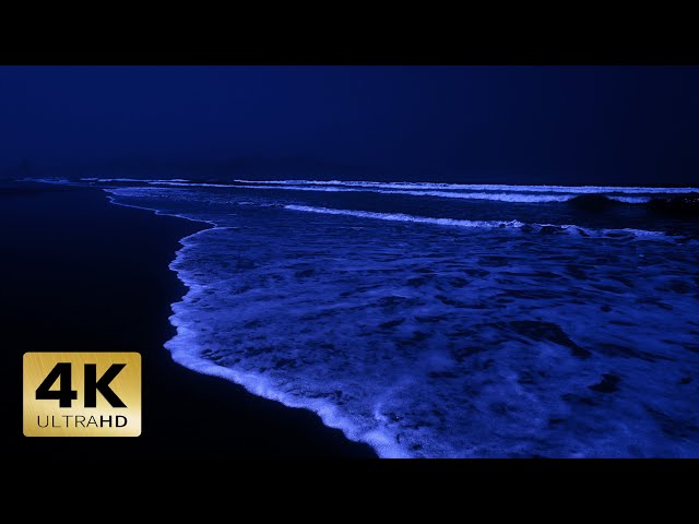 Ocean Sounds For Deep Sleeping | Fall Asleep Quickly In 3 Minutes With Big Ocean Waves At Night