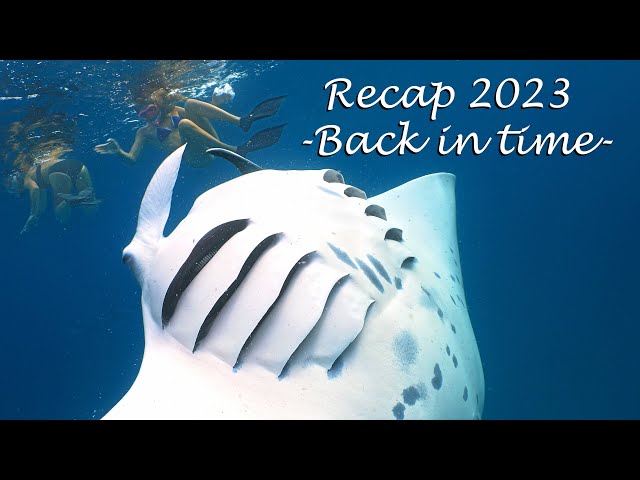 Recap 2023 - Back in time