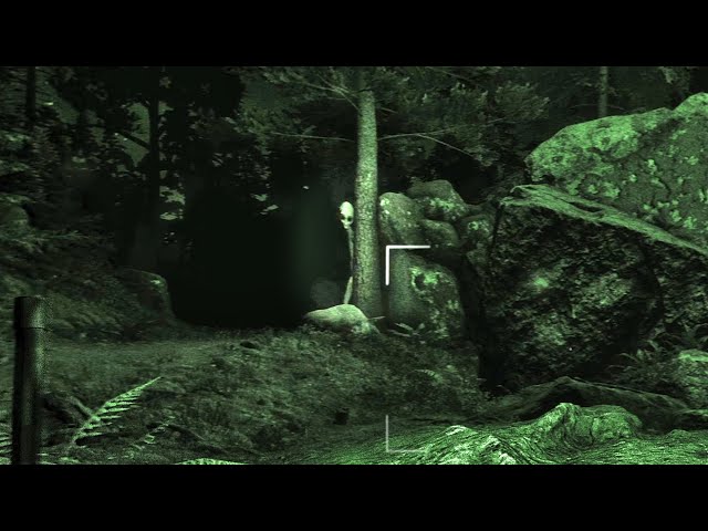 There be Aliens in these woods | They Are Here - Prologue