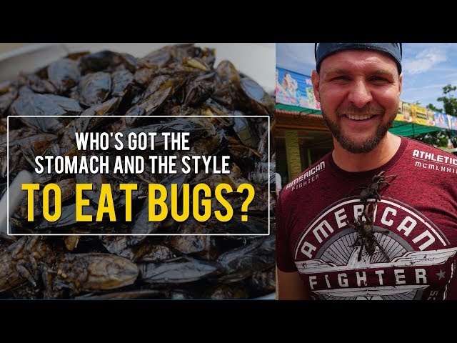Bug Eating Contest: Kris Krohn vs. Stephen Michael Miller