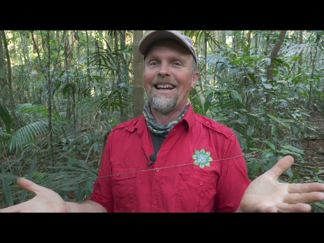 'A Walk in the Rainforest' 2020 Kids in Action Conference with Spencer Shaw