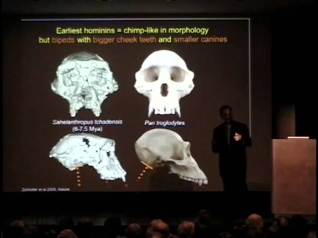 Human Evolution 150 Years After Darwin, Dr. Dan Lieberman