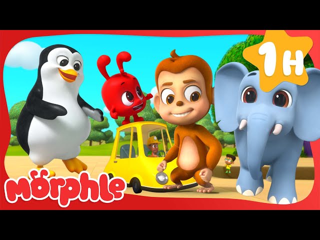 Magic Giant Animals on the Loose! | Morphle | Fun Kids Cartoon | Tigers, Lions, Elephants!