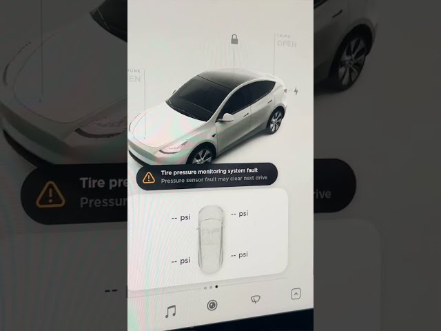 You guys have to know this about your Tesla