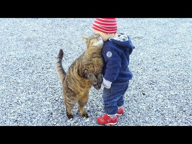 When you are my one and only special friend👶❤️🐱Cute Cats and Human