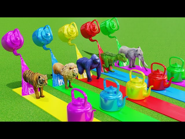 Fountain Crossing Animal Transformation with Elephant, Gorilla, Lion, Tiger, Dinosaur