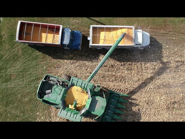Corn Harvest at Wishwell Farms - Sights and Sounds