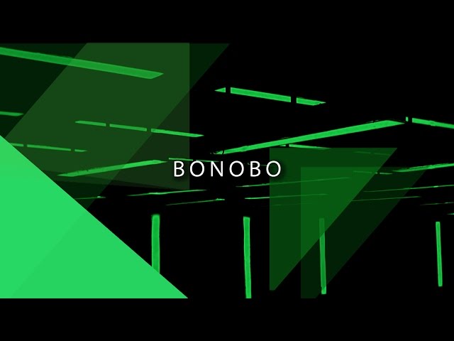 Bonobo @ D.EDGE