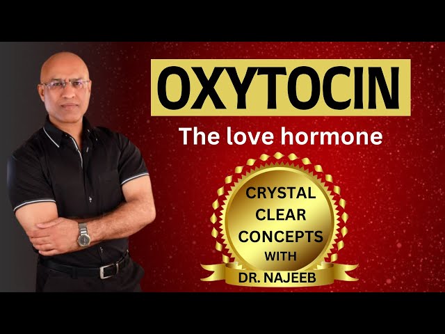 Oxytocin | The Love Hormone | Endocrinology 🩺