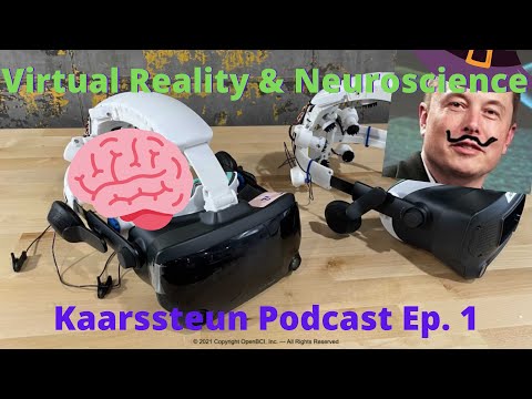Virtual Reality and Neuroscience | The Kaarssteun Podcast Ep. 1