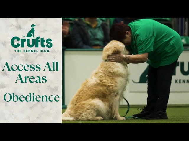Access All Areas: Obedience | Crufts 2024