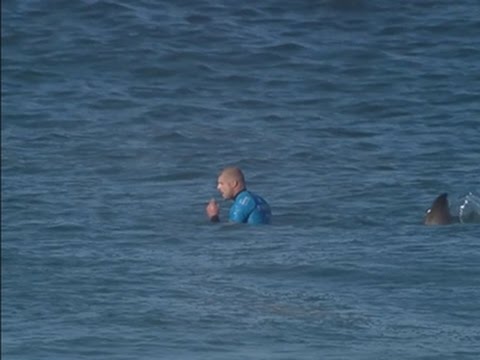 Surfer Fights Off Shark During Competition