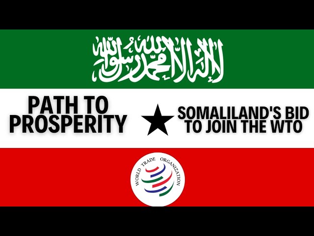 Path to Prosperity: Somaliland's bid to join the WTO