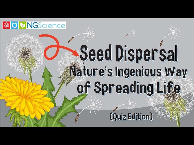 Seed Dispersal – Nature's Ingenious Way of Spreading Life (Quiz Edition)
