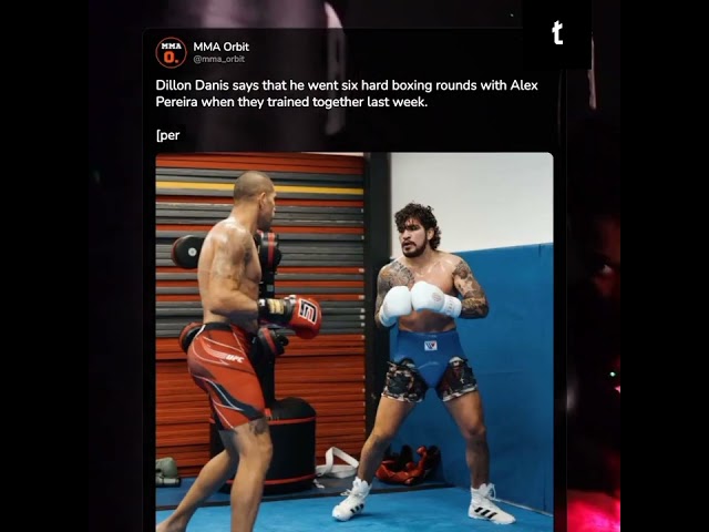 Dillon Danis claims he did six hard boxing rounds with Alex Pereira during their previous training