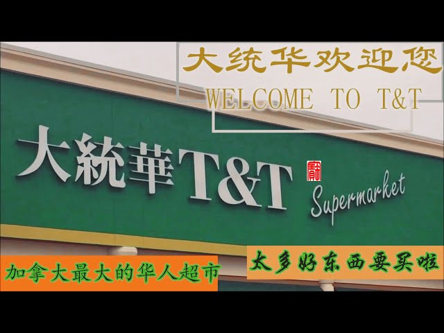 【加拿大卡尔加里Calgary】最大的华人超市大统华购物，看看有啥好买的哦 Shopping at  T&T Supermarket Calgary June 2019