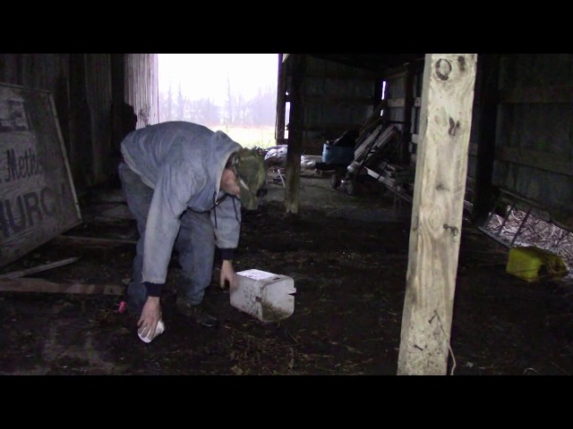 2017 Illinois Trapping Season Episode 3 - Targeting Coons in Barns