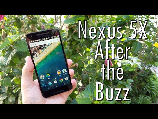 Nexus 5X After the Buzz: Too many compromises? | Pocketnow