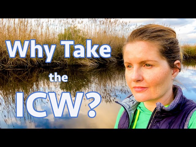 Why to take the ICW when traveling down the US East Coast (Calico Skies Sailing, Ep 85)