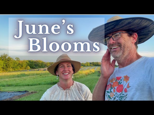 June's Blooms | VIP Sunset Farm Tour