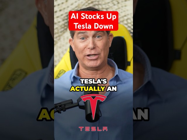 Ross Gerber mad at Tesla and Elon.