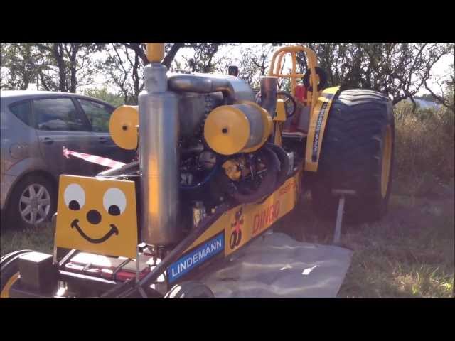 DINGO - 2500kg Modified at DM in TRACTOR PULLING!!