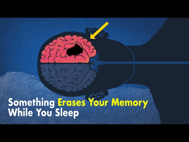 Something Erases Your Memory While You Sleep