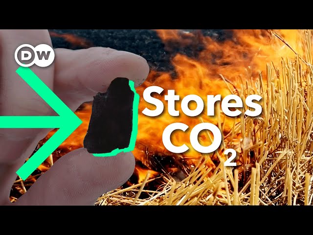 Biochar: How burning stubble could FIGHT air pollution