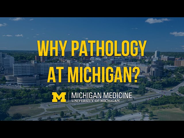 Why Pathology at Michigan?