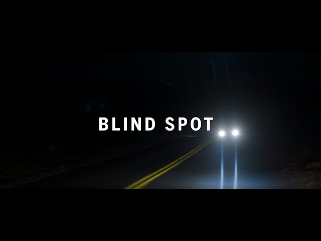 Documentary Short: Blind Spot